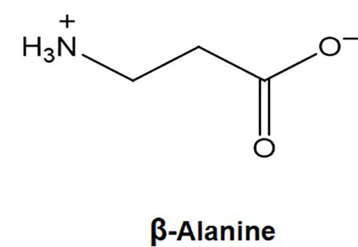 Navigating the Beta-Alanine Boost – Max Benefits, Min Side Effects