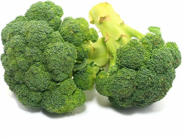 From Barbells to Broccoli – Why This Veggie Deserves a Spot in Your Training Diet