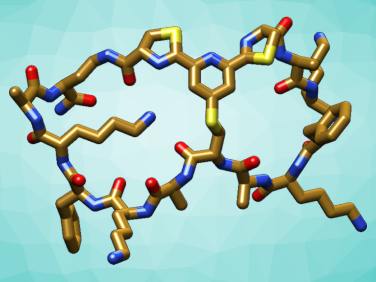 Unlocking the Peptide Puzzle – What Are They, and What Do They Do?