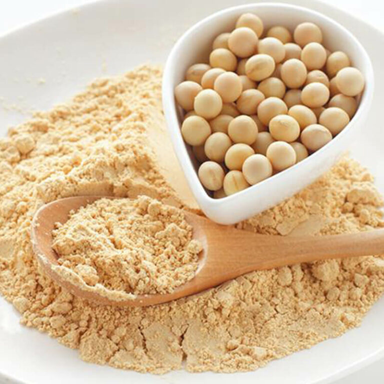 Soy vs. Milk Protein – The Clash of Protein Giants – A Comprehensive Analysis of Strengths and Weaknesses